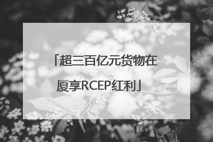超三百亿元货物在厦享RCEP红利