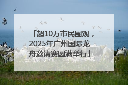 超10万市民围观，2025年广州国际龙舟邀请赛圆满举行