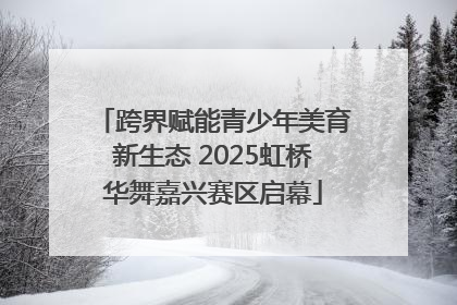 跨界赋能青少年美育新生态 2025虹桥华舞嘉兴赛区启幕