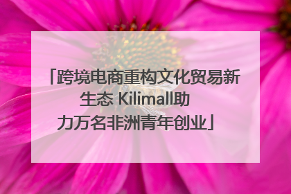 跨境电商重构文化贸易新生态 Kilimall助力万名非洲青年创业