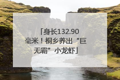 身长132.90毫米！桐乡养出“巨无霸”小龙虾