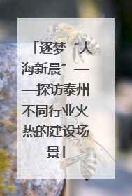 逐梦“大海新晨”——探访泰州不同行业火热的建设场景