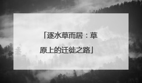 逐水草而居：草原上的迁徙之路