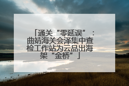通关“零延误”：曲靖海关会泽集中查检工作站为云品出海架“金桥”