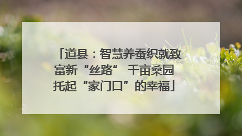 道县：智慧养蚕织就致富新“丝路” 千亩桑园托起“家门口”的幸福