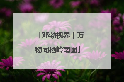 邓勃视界｜万物同栖岭南图