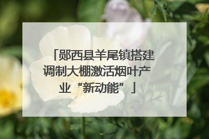 郧西县羊尾镇搭建调制大棚激活烟叶产业“新动能”