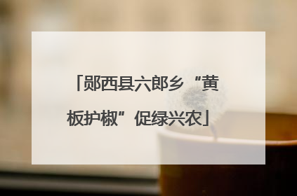 郧西县六郎乡“黄板护椒”促绿兴农