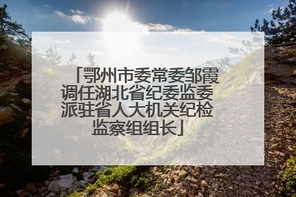 鄂州市委常委邹霞调任湖北省纪委监委派驻省人大机关纪检监察组组长