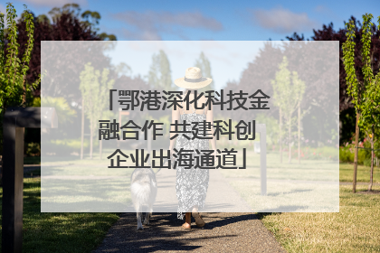 鄂港深化科技金融合作 共建科创企业出海通道