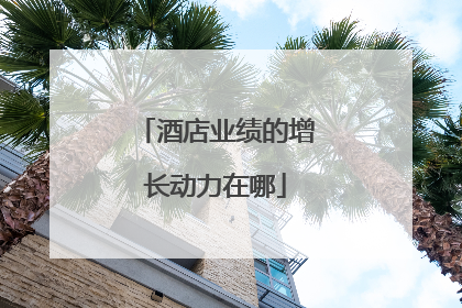 酒店业绩的增长动力在哪