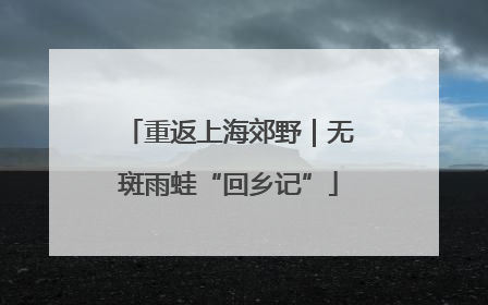 重返上海郊野｜无斑雨蛙“回乡记”