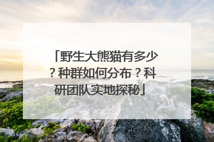 野生大熊猫有多少？种群如何分布？科研团队实地探秘