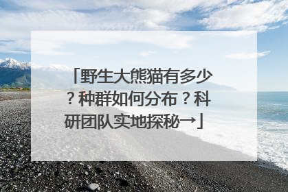 野生大熊猫有多少？种群如何分布？科研团队实地探秘→