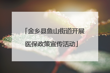 金乡县鱼山街道开展医保政策宣传活动