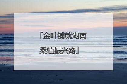 金叶铺就湖南桑植振兴路