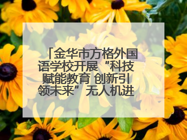 金华市方格外国语学校开展“科技赋能教育 创新引领未来”无人机进校园主题活动