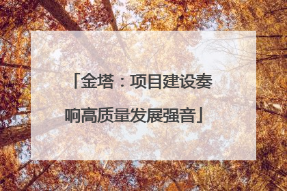 金塔：项目建设奏响高质量发展强音