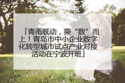青甬联动，乘“数”而上！青岛市中小企业数字化转型城市试点产业对接活动在宁波开班