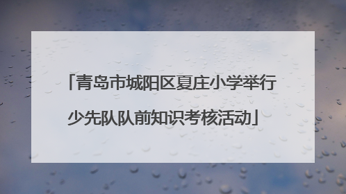 青岛市城阳区夏庄小学举行少先队队前知识考核活动