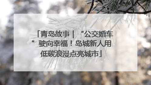 青岛故事｜“公交婚车”驶向幸福！岛城新人用低碳浪漫点亮城市