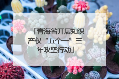 青海省开展知识产权“五个一”三年攻坚行动