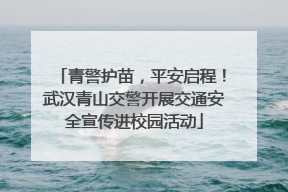 青警护苗，平安启程！武汉青山交警开展交通安全宣传进校园活动
