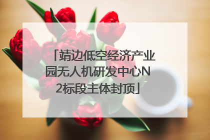 靖边低空经济产业园无人机研发中心N2标段主体封顶