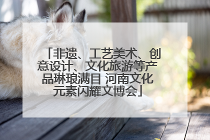非遗、工艺美术、创意设计、文化旅游等产品琳琅满目 河南文化元素闪耀文博会