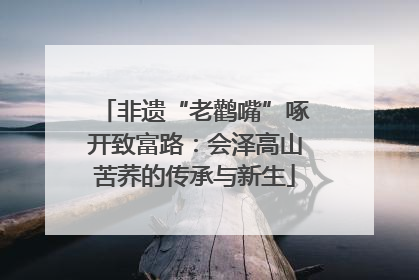非遗“老鹳嘴”啄开致富路：会泽高山苦荞的传承与新生
