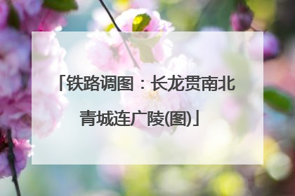 铁路调图：长龙贯南北 青城连广陵(图)