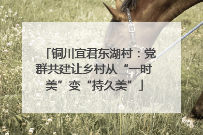 铜川宜君东湖村：党群共建让乡村从“一时美”变“持久美”