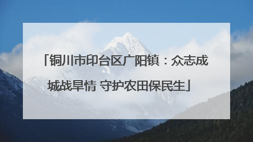 铜川市印台区广阳镇：众志成城战旱情 守护农田保民生