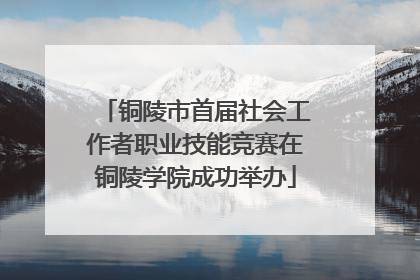 铜陵市首届社会工作者职业技能竞赛在铜陵学院成功举办