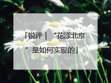 锐评｜“花漾北京”是如何实现的