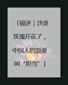 锐评｜沙漠玫瑰开花了，中国人的浪漫叫“担当”