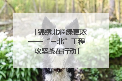 锦绣北疆绿更浓——“三北”工程攻坚战在行动