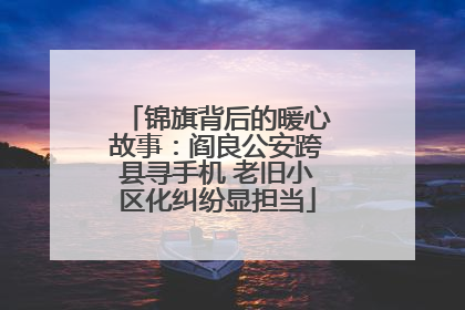 锦旗背后的暖心故事：阎良公安跨县寻手机 老旧小区化纠纷显担当