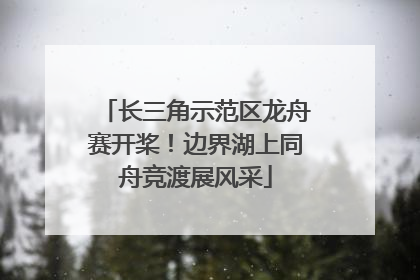 长三角示范区龙舟赛开桨！边界湖上同舟竞渡展风采