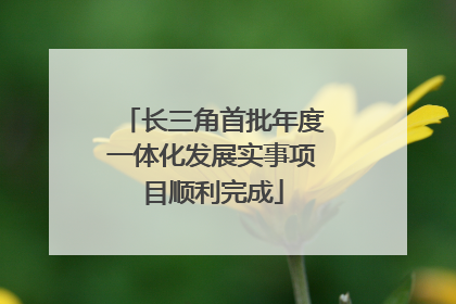 长三角首批年度一体化发展实事项目顺利完成