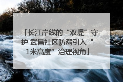 长江岸线的“双堤”守护 武昌社区防溺引入“1米高度”治理视角