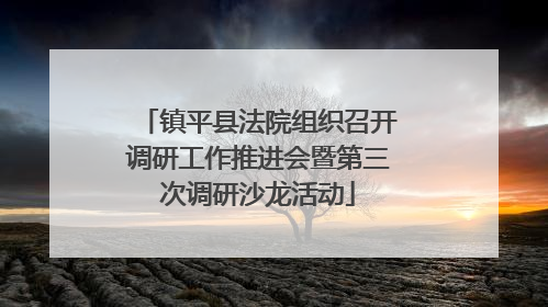 镇平县法院组织召开调研工作推进会暨第三次调研沙龙活动