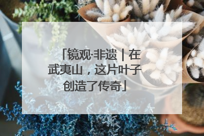 镜观·非遗｜在武夷山，这片叶子创造了传奇