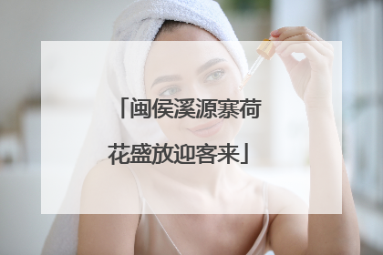 闽侯溪源寨荷花盛放迎客来
