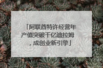 阿联酋特许经营年产值突破千亿迪拉姆，成创业新引擎