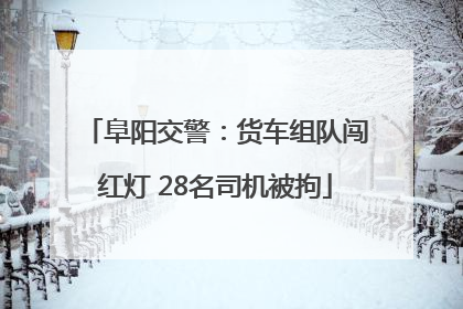 阜阳交警：货车组队闯红灯 28名司机被拘