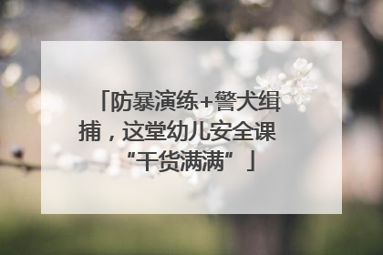 防暴演练+警犬缉捕，这堂幼儿安全课“干货满满”