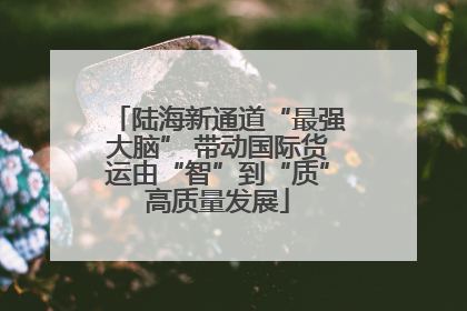 陆海新通道“最强大脑” 带动国际货运由“智”到“质”高质量发展
