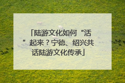 陆游文化如何“活 ”起来？宁德、绍兴共话陆游文化传承