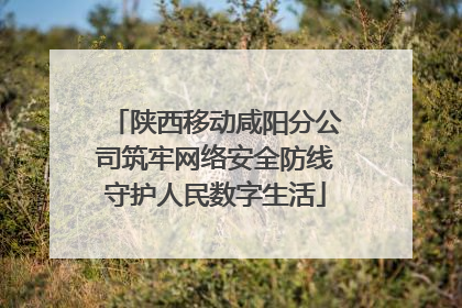 陕西移动咸阳分公司筑牢网络安全防线守护人民数字生活